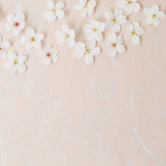 ¿Qué limpiar en casa en Abril? - Alegriadelhogaradh