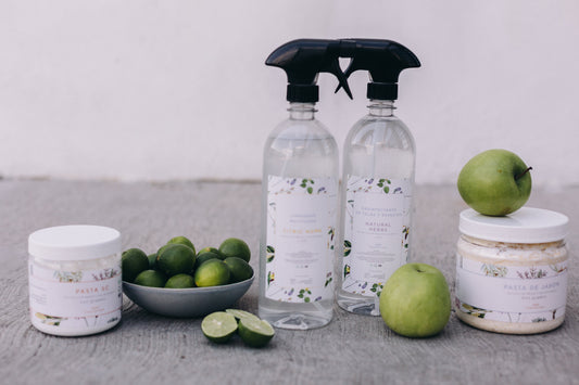 Kit de Limpieza Natural Completo | Limpieza Écologica para el Hogar