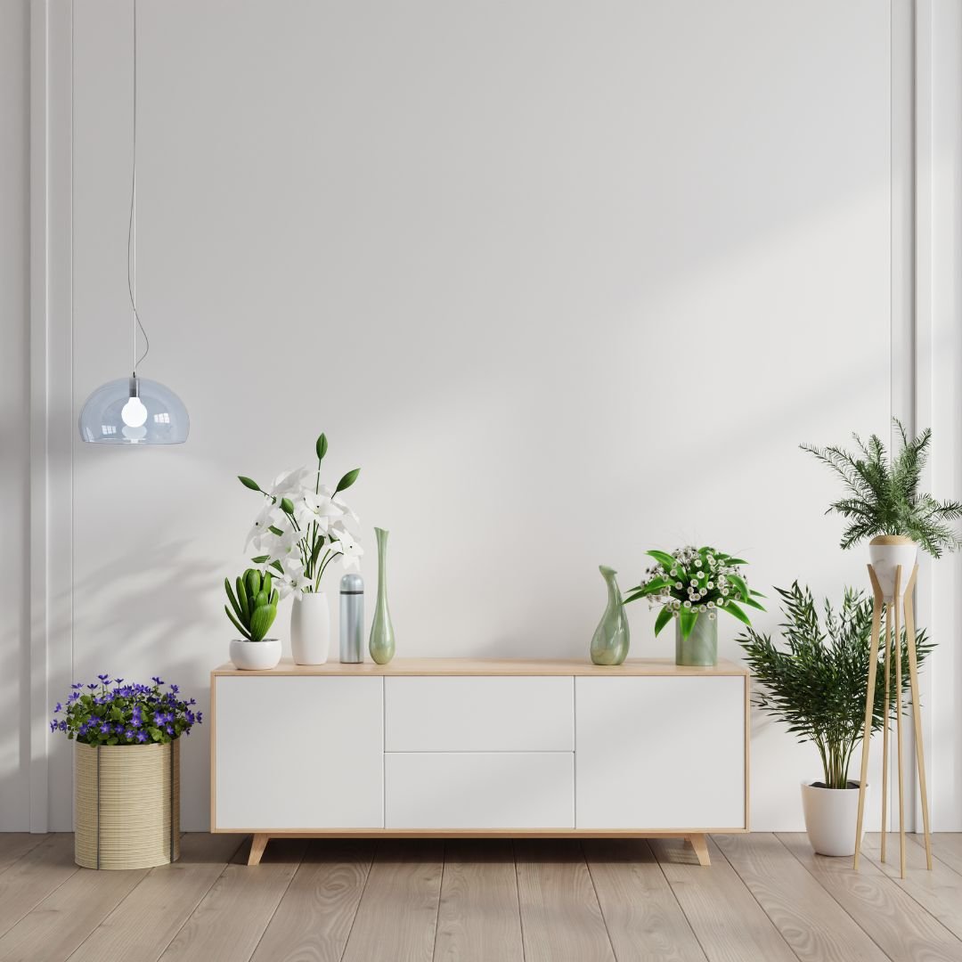Tips para cuidado de plantas en el hogar - Alegriadelhogaradh