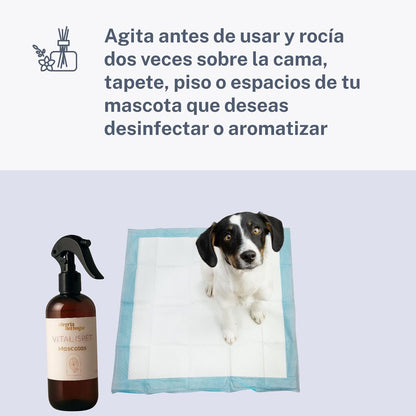 Vitalispet Neutralizador de Olores de Mascotas 250 ml – Spray Natural con Aceites Esenciales de Eucalipto y Toronja